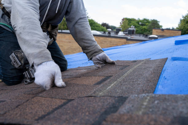 Best Roof Leak Repair  in Monticello, IA